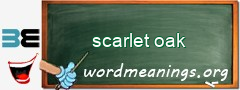 WordMeaning blackboard for scarlet oak